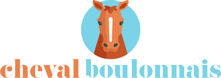 Cheval Boulonnais